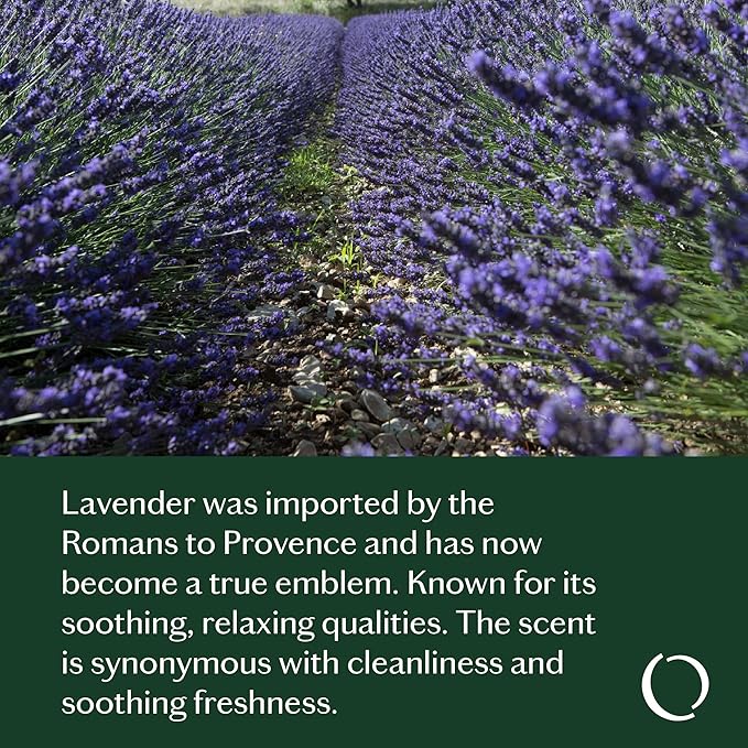 LIVEDROPS 24/7 Relaxed Essential Oil Blend - Lavender, Myrrh & Cedarwood - Calming Scent - Pure & Natural Aromatherapy - Skin Safe & Diffuser Compatible - Crafted in France by Perfumers