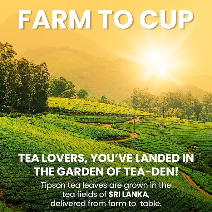 Tipson Organic Ginger Variety Sampler - 6 Flavors (60 Tea Bags), Herbal Tea Infusions - USDA Organic, Non GMO, and Gluten Free