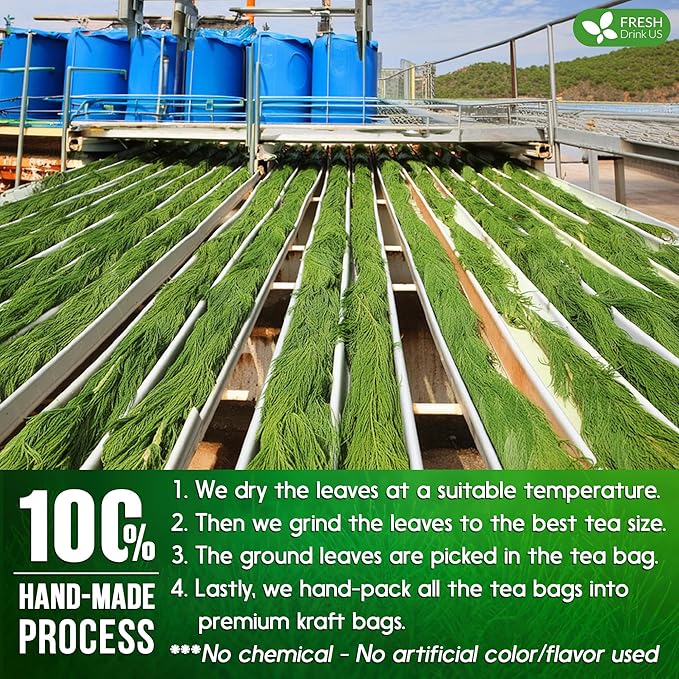 FreshDrinkUS, Premium 120 Horsetail Leaf Tea Bags, 100% Natural & Pure from Horsetail Loose Leaves Herbal Tea. Made with Natural Material Tea Bags. No Sugar, No Caffeine, No Gluten, Vegan.