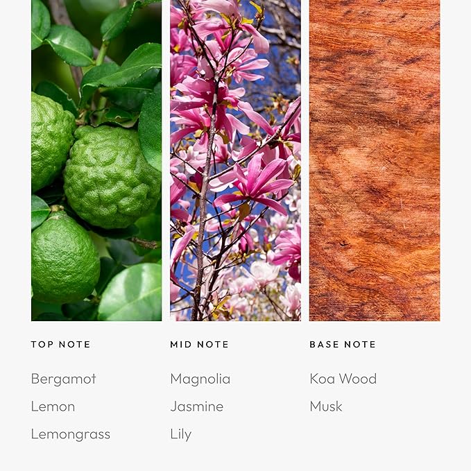 Aroma360 Pro Pod - Fragrance Oil Inspired by W Hotel - Scent Includes Bergamot, Lemon & Lemongrass - 24K Magic, 50mL/1.7 fl oz