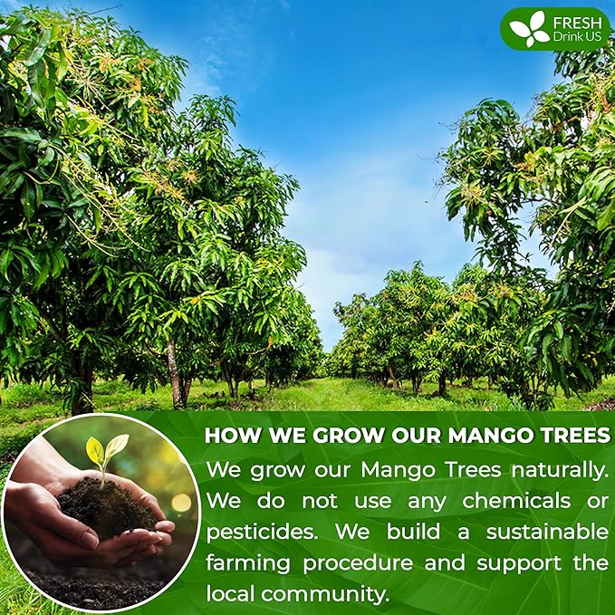 FreshDrinkUS, Premium 40 Mango Leaf Tea Bags, 100% Natural& Pure from Mango Leaves. Loose Leaf Mango Herbal Tea. Mango Leaf Tea. No Sugar, No Caffeine, No Gluten, Vegan.