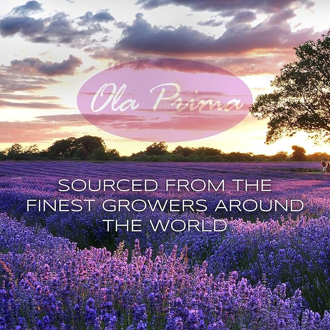 Ola Prima 4oz Patchouli Essential Oil